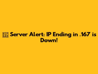 🚨 Server Alert: IP Ending in .167 is Down!