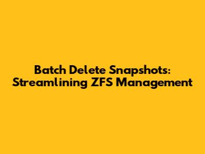 Batch Delete Snapshots: Streamlining ZFS Management