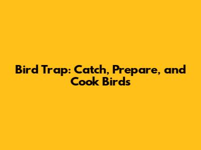 Bird Trap: Catch, Prepare, and Cook Birds