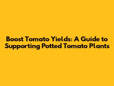 Boost Tomato Yields: A Guide to Supporting Potted Tomato Plants