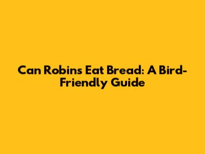 Can Robins Eat Bread: A Bird-Friendly Guide
