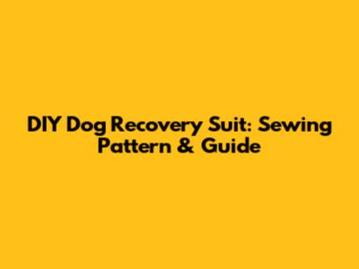 DIY Dog Recovery Suit: Sewing Pattern & Guide