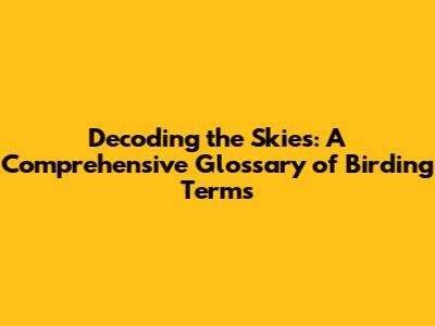 Decoding the Skies: A Comprehensive Glossary of Birding Terms