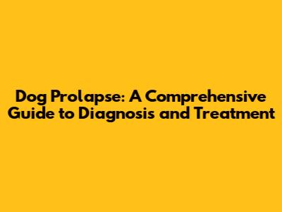 Dog Prolapse: A Comprehensive Guide to Diagnosis and Treatment