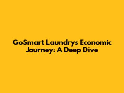 GoSmart Laundry's Economic Journey: A Deep Dive