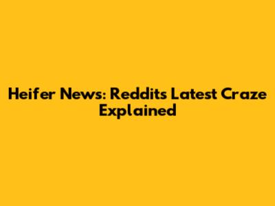 Heifer News: Reddit's Latest Craze Explained