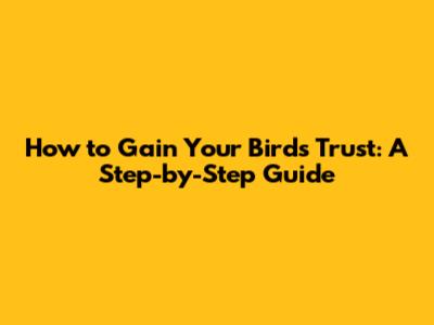 How to Gain Your Bird's Trust: A Step-by-Step Guide