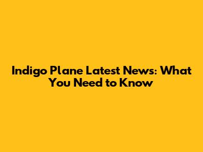 Indigo Plane Latest News: What You Need to Know