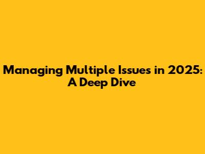 Managing Multiple Issues in 2025: A Deep Dive