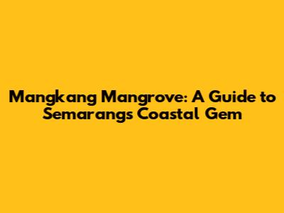 Mangkang Mangrove: A Guide to Semarang's Coastal Gem