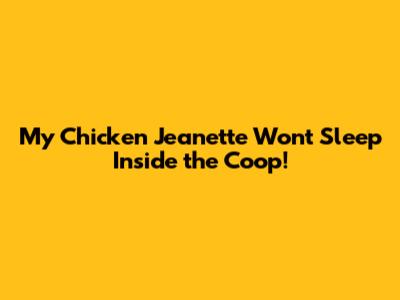 My Chicken Jeanette Won't Sleep Inside the Coop!