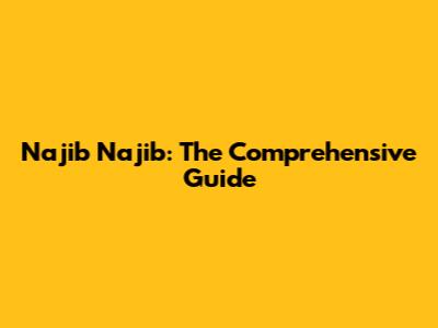 Najib Najib: The Comprehensive Guide
