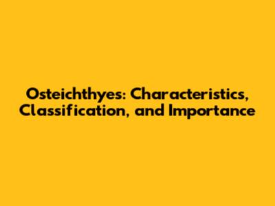 Osteichthyes: Characteristics, Classification, and Importance