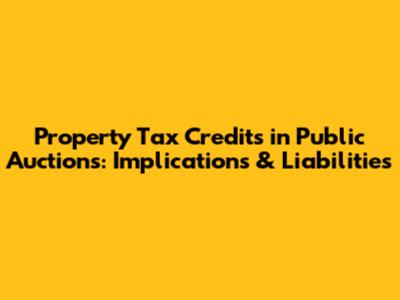 Property Tax Credits in Public Auctions: Implications & Liabilities