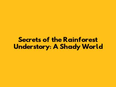Secrets of the Rainforest Understory: A Shady World