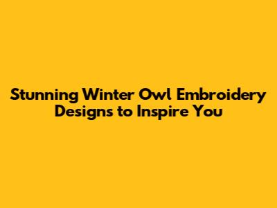 Stunning Winter Owl Embroidery Designs to Inspire You