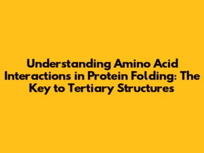 Understanding Amino Acid Interactions in Protein Folding: The Key to Tertiary Structures
