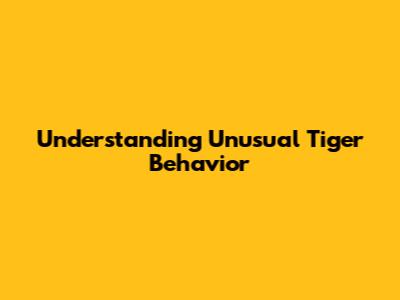 Understanding Unusual Tiger Behavior