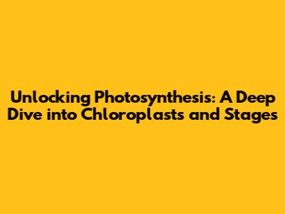 Unlocking Photosynthesis: A Deep Dive into Chloroplasts and Stages